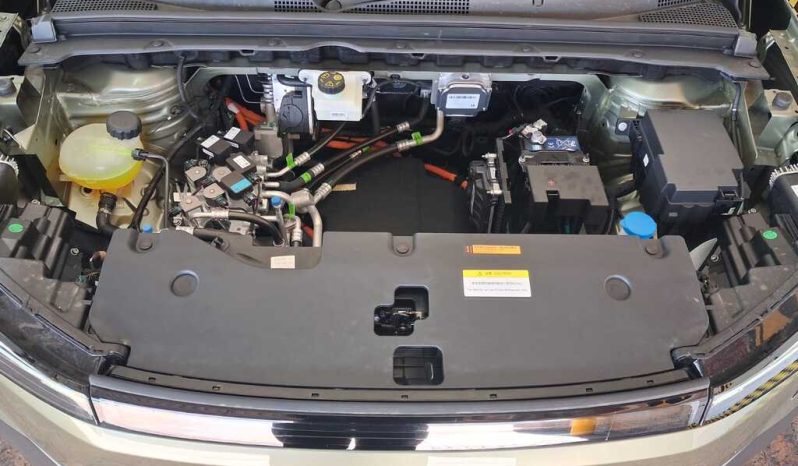 2026 DONGFENG NAMMI06 E1 full
