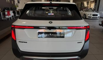 2026 DONGFENG NAMMI06 E3 full