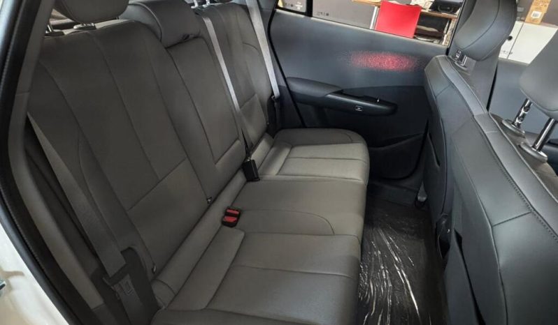 2026 DONGFENG NAMMI06 E3 full
