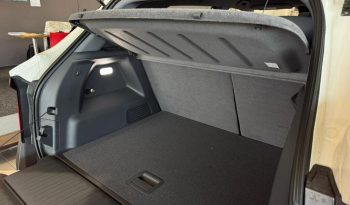 2026 DONGFENG NAMMI06 E3 full
