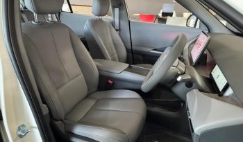 2026 DONGFENG NAMMI06 E3 full